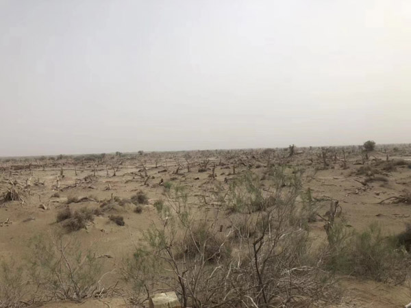 買賣合同問題如何處理？深圳買賣合同律師為您解答