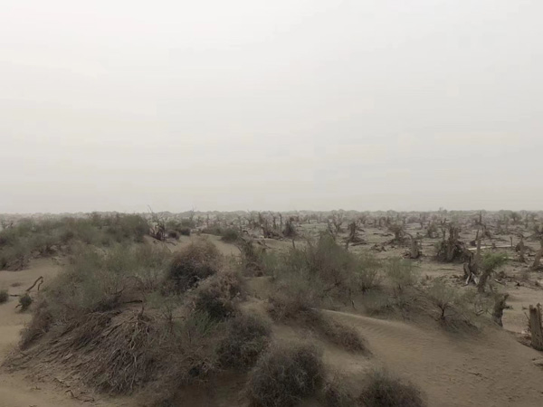 虐待罪案例解析：深圳法律咨詢網教您如何判斷行為是否構成虐待罪？