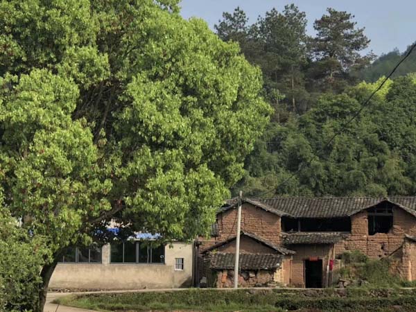 交通事故的刑事責任及處罰是怎樣的？深圳交通事故律師為您講解