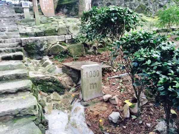 年輕人購房父母的資助是贈與還是借款？深圳房產官司律師告訴您