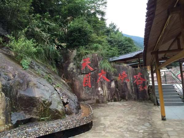 交通商業(yè)三者險(xiǎn)保險(xiǎn)公司的訴訟地位是什么？深圳頂尖律師事務(wù)所為您解答