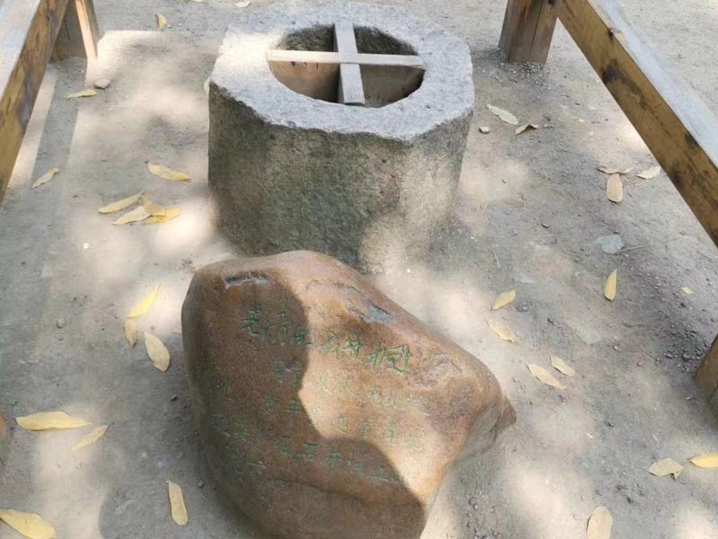 非法集資案件如何快速推進處置程序？深圳法律咨詢網來回答