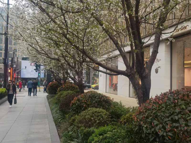 勞動者未事先告知用人單位能否直接申請仲裁？深圳法律咨詢網來回答