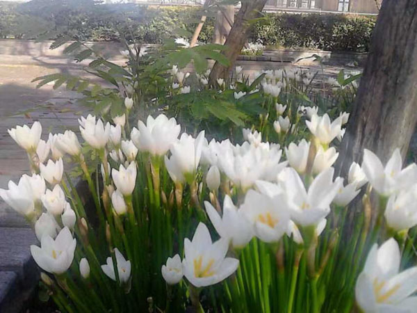 房屋共有產(chǎn)權(quán)糾紛，法院一般怎么判？深圳房屋拆遷律師總結(jié)整理