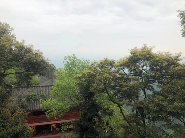 鹽田區(qū)律師在線解答：繼承人以外的人可否要求分配遺產(chǎn)？