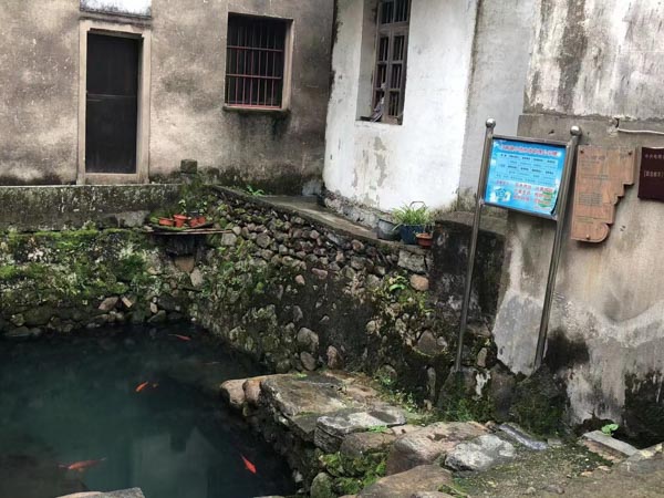 福田刑事律師盤點《狂飆》中的8個法律問題，你犯罪了嗎？