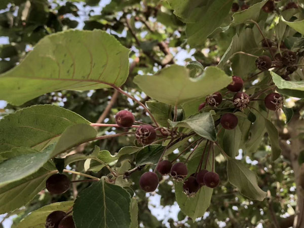 如何解決小區停車位所有權爭議？深圳房產律師告訴您