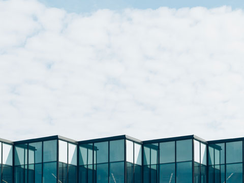 深圳南聯律師總結老人甘蔗被圍搶后續