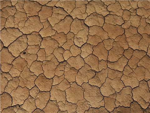 荔枝公園旁律師論述土地經營權離婚分配原則