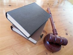 龍華區律師談工作期間政協員醉駕致2死還想緩刑