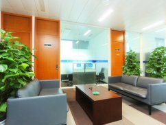 龍崗區事務所律師談國有獨資企業對外擔保應由誰決定