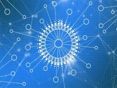 深圳福田法律咨詢事關網絡消費新出法則